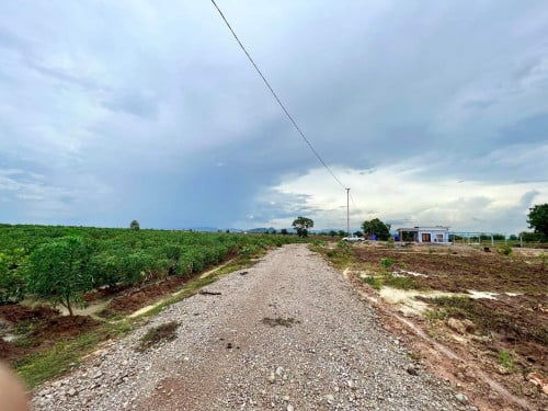 ដីលក់បន្ទាន់ នៅក្រុងបាត់ដំបង