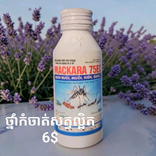 ថ្នាំកំចាត់សត្វល្អិត