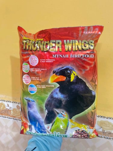 ចំណីសារិកាកែវ ហឹរ