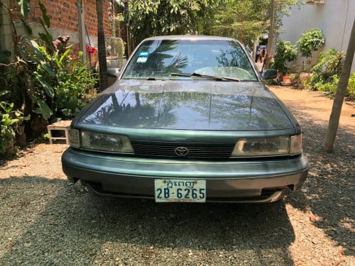 ស្វិតឆ្នាំ91 លក់