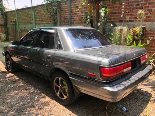 ស្វិតឆ្នាំ91 លក់