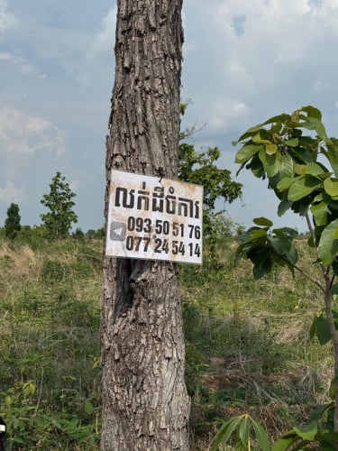 ដីចម្ការលក់នៅទំរីងខេត្តកំពង់ធំតម្លៃ9500$