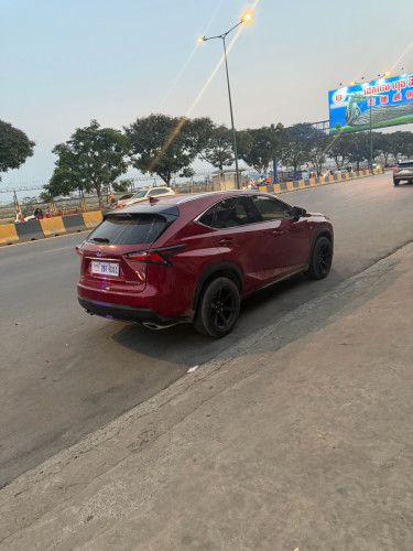 2015 P2 F-Sport B5