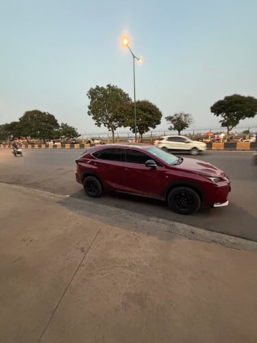 2015 P2 F-Sport B5
