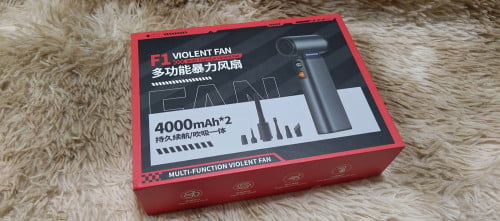 F1 Violent Fan