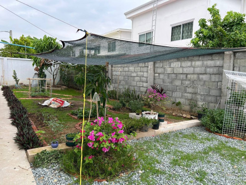 House For Seles