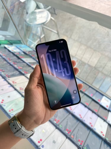 iPhone 13 Pro Max