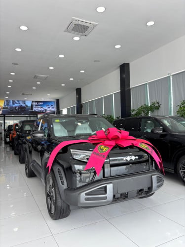 Leopard Ti3 EV 501km