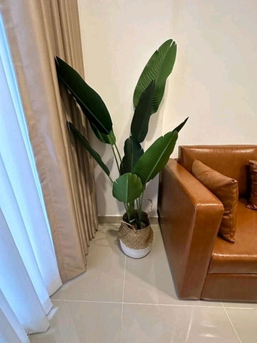 Parkland Urgent Sale
