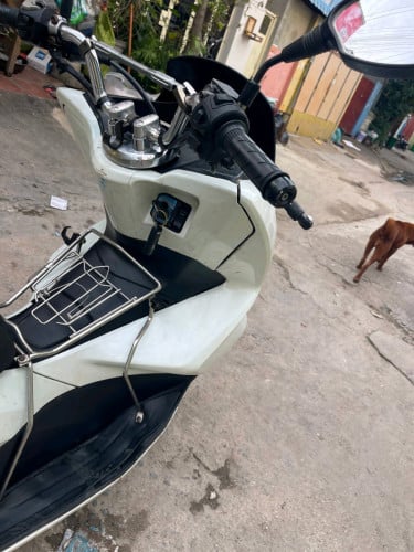 Pcx 015 កាតគ្រីផែនសំណុំ