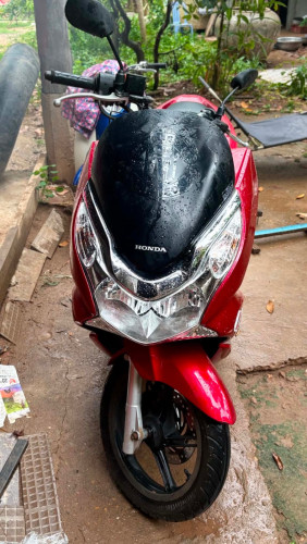 PCX013(150cc)No👙💔have លេខ
