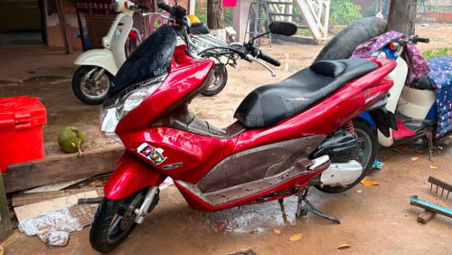PCX013(150cc)No👙💔have លេខ