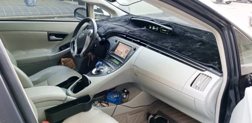 Prius 010