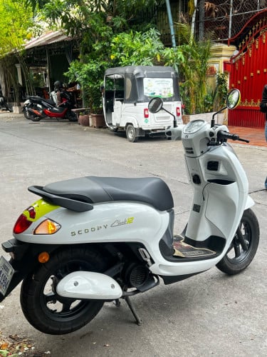 Scoopy
