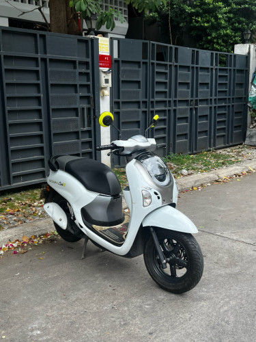 Scoopy