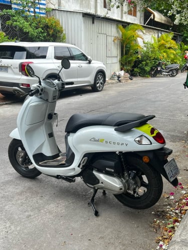 Scoopy