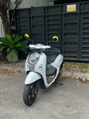 Scoopy