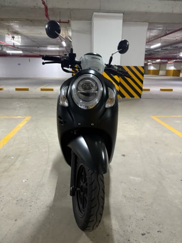 Scoopy 2024
