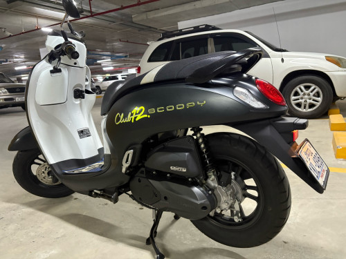 Scoopy 2024