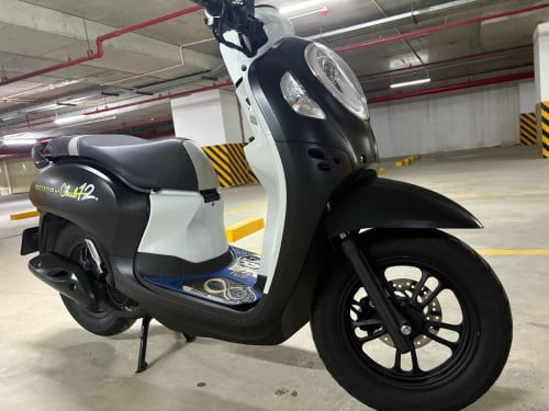 Scoopy 2024