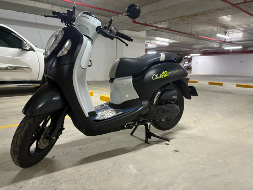 Scoopy 2024