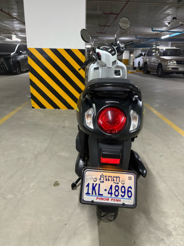 Scoopy 2024