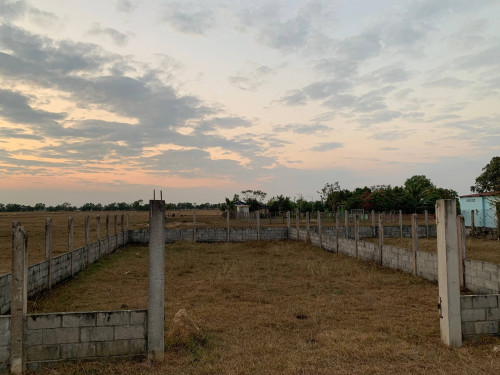 ដីលក់បន្ទាន់