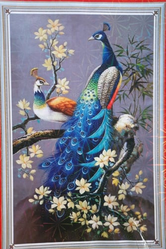 លក់រូបចាក់ហើយ