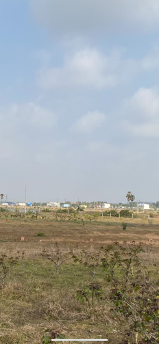 លក់ទាល់លុយធ្វេីផ្ទះ