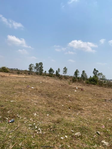 លក់ទាល់លុយធ្វេីផ្ទះ