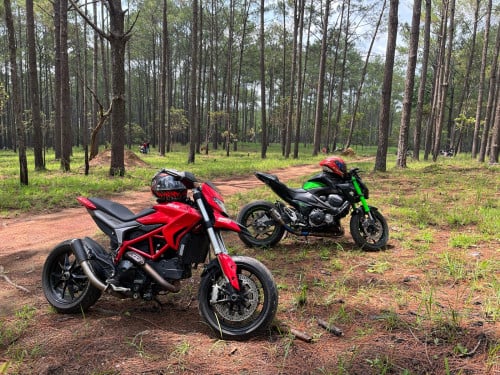 Ducati for sell