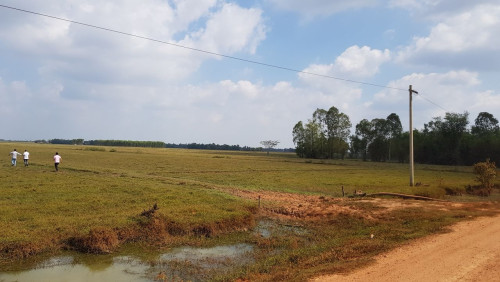 ម្ចាស់ដីផ្ទាល់បាវិតជីភូ_លក់បន្ទាន់ $4.8/m2 (ចរចា) ប្លង់រឹង