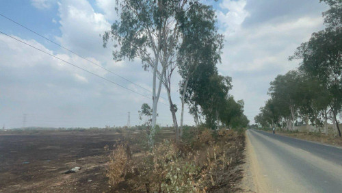 ដីលក់/Land for Sale ទីតាំង: ស្រុកអង្គស្នួល ខេត្តកណ្តាល Location: Angsnoul, Kandal province