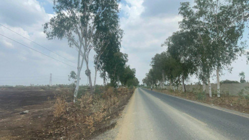 ដីលក់/Land for Sale ទីតាំង: ស្រុកអង្គស្នួល ខេត្តកណ្តាល Location: Angsnoul, Kandal province