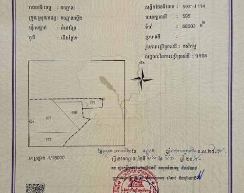 ដីលក់បន្ទាន់ ទល់មុខព្រលានយន្តហោះថ្មី | Land For Urgent Sale Opposite the New Airport - $37/m2