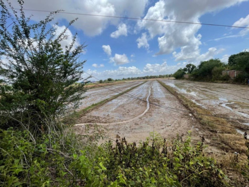🏦Land Available for Urgent Sale at a Special Price (Negotiable).