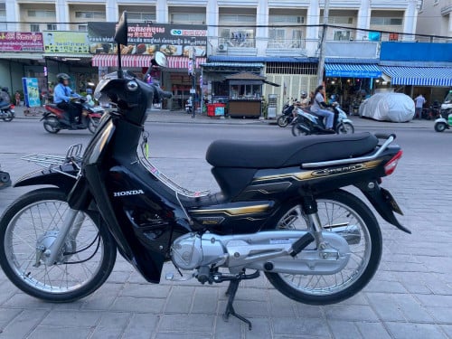 014 ម្ចាស់ដើមផែនរឹង