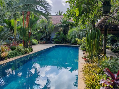 Amazing hideaway house and garden for sale in Kampot province!