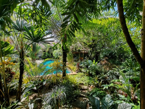Amazing hideaway house and garden for sale in Kampot province!