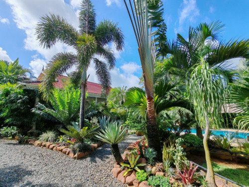 Amazing hideaway house and garden for sale in Kampot province!