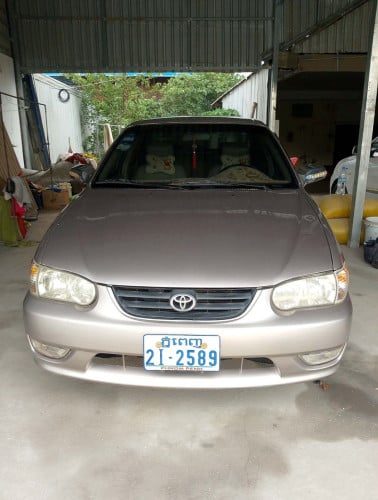 Corolla 98 ឡានស្អាត