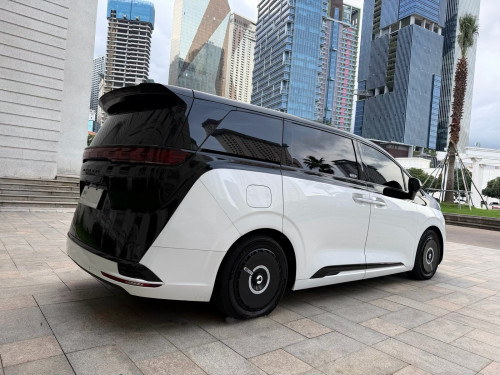 Denza D9