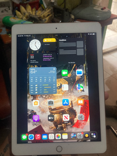 iPad Air 2