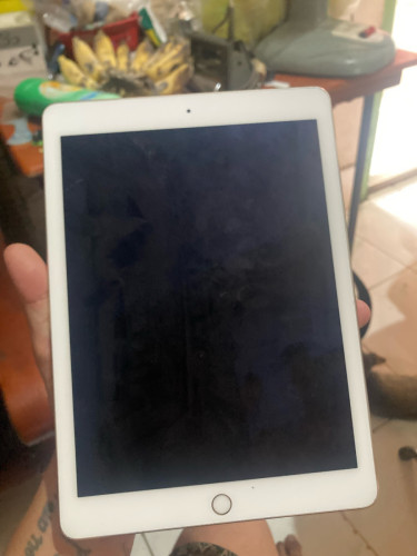 iPad Air 2