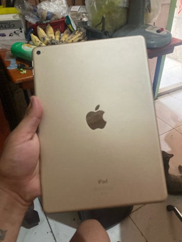 iPad Air 2