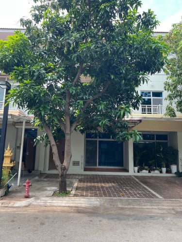 Link House for rent