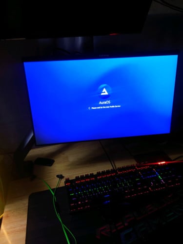 Monitor arm + monitor  24inch 100hz