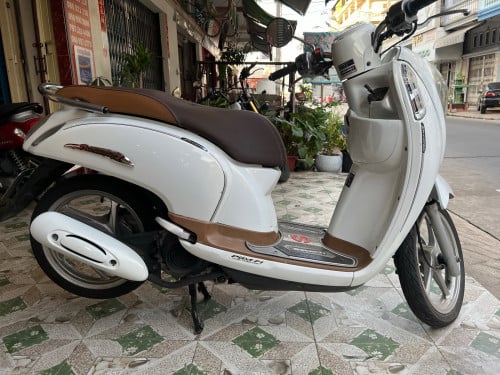 Scoopy 2014