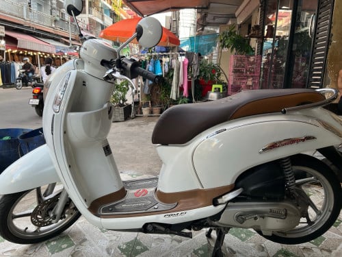 Scoopy 2014