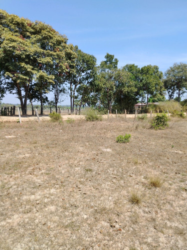 Terrain à vendre